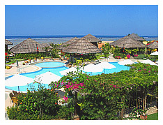 view of Puerto del Sol's "zen" pool taken at noon