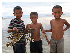 these boys proudly show off the sea treasures they found at low tide